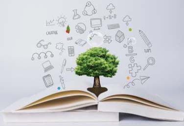 教育部办公厅等十二部门印发文件进一步加强学科类隐形变异培训防范治理工作